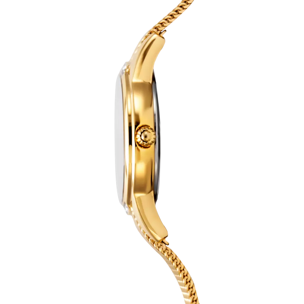 Festina - Orologio Mademoiselle Argento con Cinturino in Acciaio F20495/1