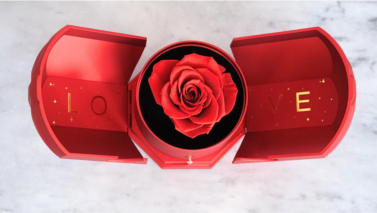 AG - Box Rosa Eterna